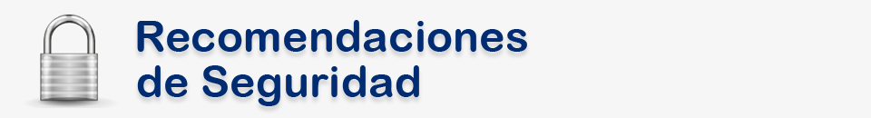 Recomendaciones de Seguridad